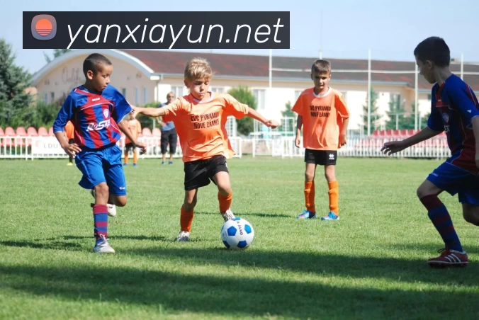 环球 - 中国一站式体育服务平台平台生态图